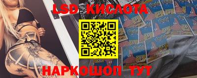 бошки Бийск