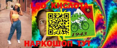 бошки Бийск