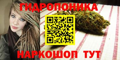 бошки Бийск